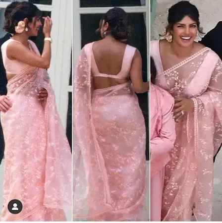 organza saree