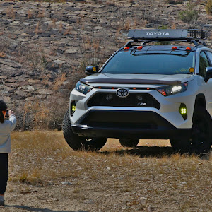 RAV4 MXAA54