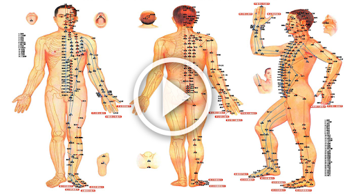 Acupuncture point location