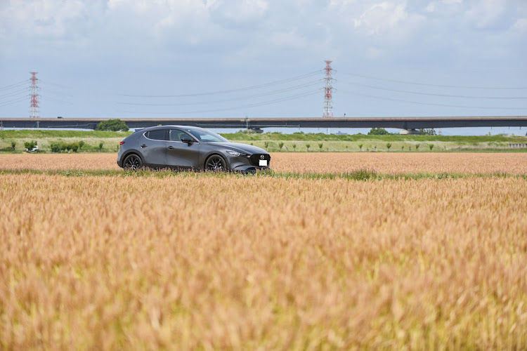 MAZDA3の一眼レフ・ドライブ・MAZDA・Mazda3に関するカスタム事例の投稿画像2枚目