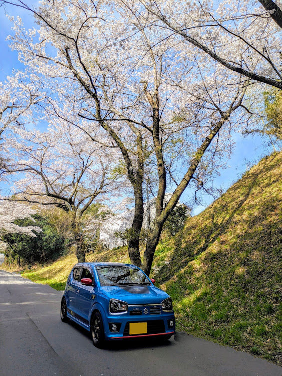 アルトワークスのいつもいいね👍&コメントありがとうございます🙇🏻‍♂️✨・4月もよろしくお願い致します🌸・桜と愛車・朝ラー活・洗車に関するカスタム事例の投稿画像8枚目