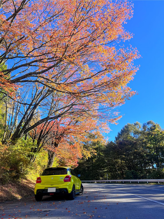 スイフトスポーツの紅葉ドライブ・紅葉・紅葉と愛車・スイスポ乗りと繋がりたい・ビーナスラインに関するカスタム事例の投稿画像1枚目