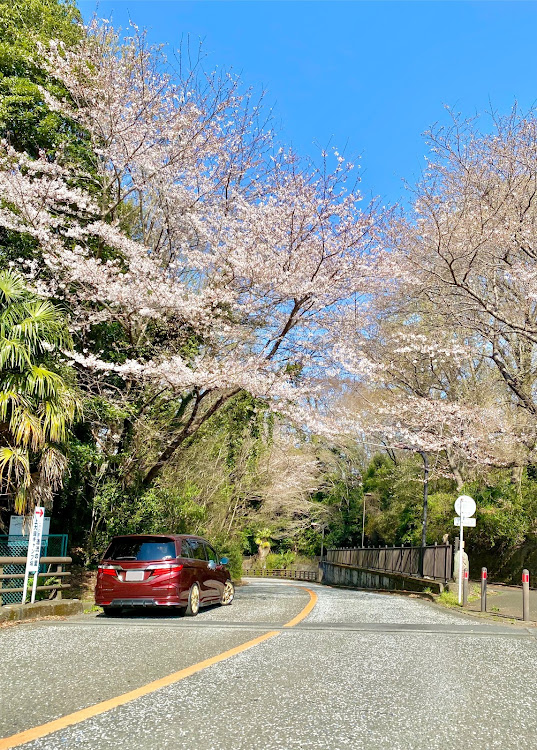 の投稿画像4枚目