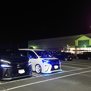 ヴォクシー ZRR80W