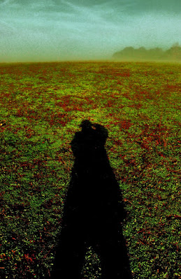 me and the fog di miyomo
