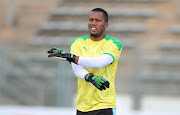 Mamelodi Sundowns goalkeeper Ricardo Goss.