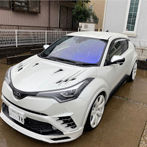 C-HR ZYX10