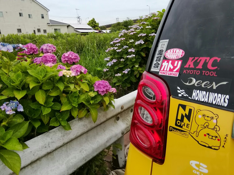 N-ONEの山武市・Nシリーズ・N660・梅雨時・プチオフ行きます！に関するカスタム事例の投稿画像11枚目