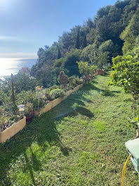 appartement à Roquebrune-Cap-Martin (06)