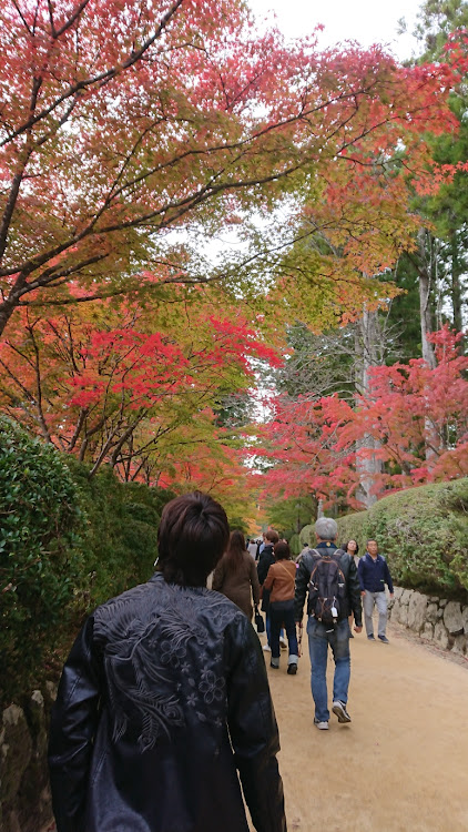 ISの紅葉・モミジ・高野山・旅行・お寺に関するカスタム事例の投稿画像6枚目
