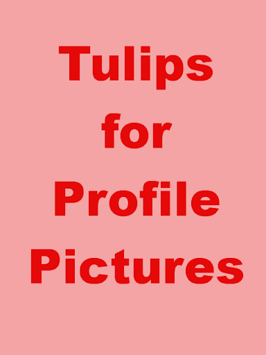 TulipsBG