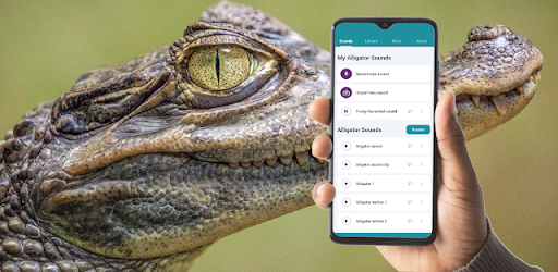 Alligator Sounds
