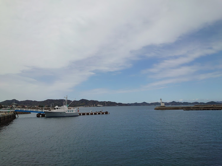 たまりんさんが投稿した3月の思い出松山・モンチッチ海岸・堀江海岸・恋泉畑・見奈良菜の花まつりに関するカスタム事例の投稿画像4枚目