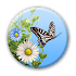 Butterfly 1.1.10