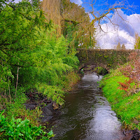 Natura irlandese di oscar_costantini