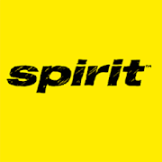 Spirit Airlines Check-in  Icon