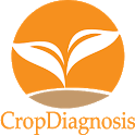 CropDiagnosis