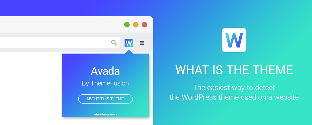 What Is The Theme - WordPress theme detector Preview image 2