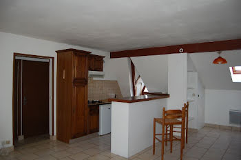 appartement à Sancerre (18)