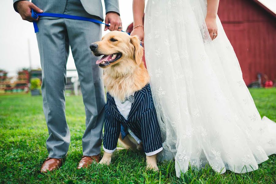 Photographe de mariage Brandon Adam (brandonadamphoto). Photo du 14 août 2020