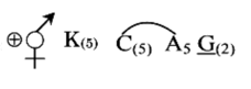 Taxonomic Description of some Important Families