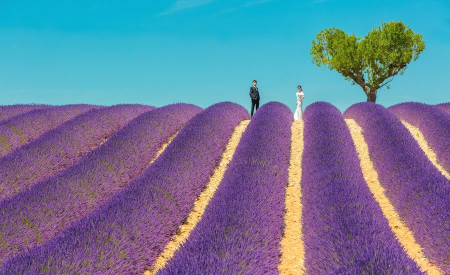 Fotografo di matrimoni Susu Huang (susuimage). Foto del 3 febbraio 2017