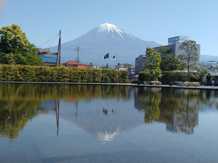 の投稿画像5枚目