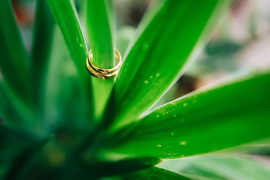 Fotografo di matrimoni Anh Tuan Tran (nautran). Foto del 27 aprile 2018