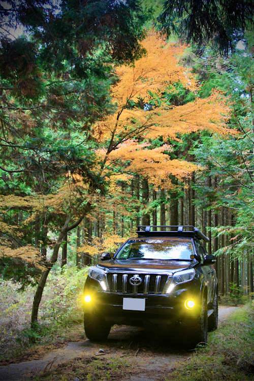 ランドクルーザープラドの山紅葉・林道探索・SCS・ARB・icon vehicle dynamicsに関するカスタム事例の投稿画像2枚目