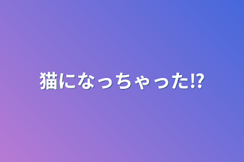 猫になっちゃった⁉︎