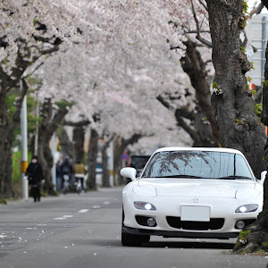 RX-7 FD3S 後期