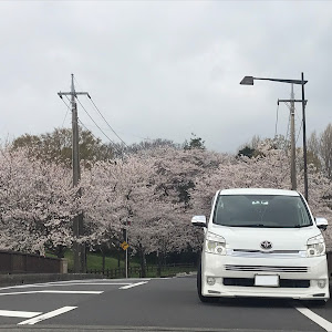 ヴォクシー ZRR70W