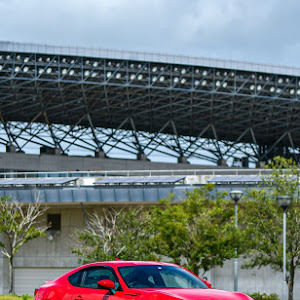 86 ZN6