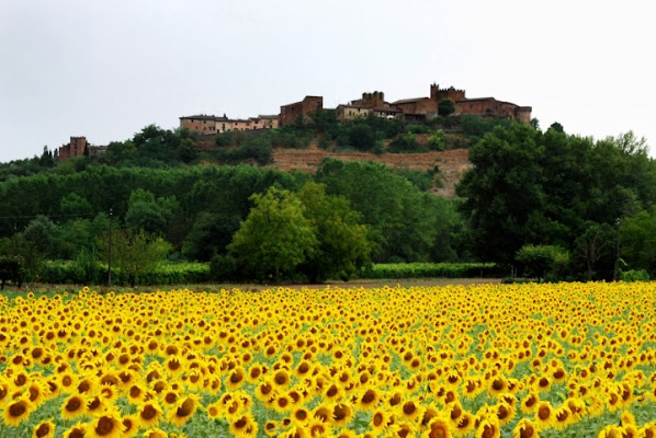 Il Paese del Sole di samuela