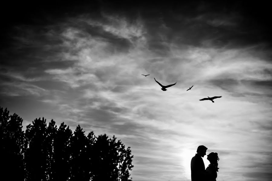 Fotografo di matrimoni Francesco Brunello (brunello). Foto del 26 maggio 2016