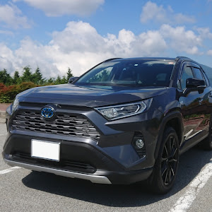 RAV4 AXAH54