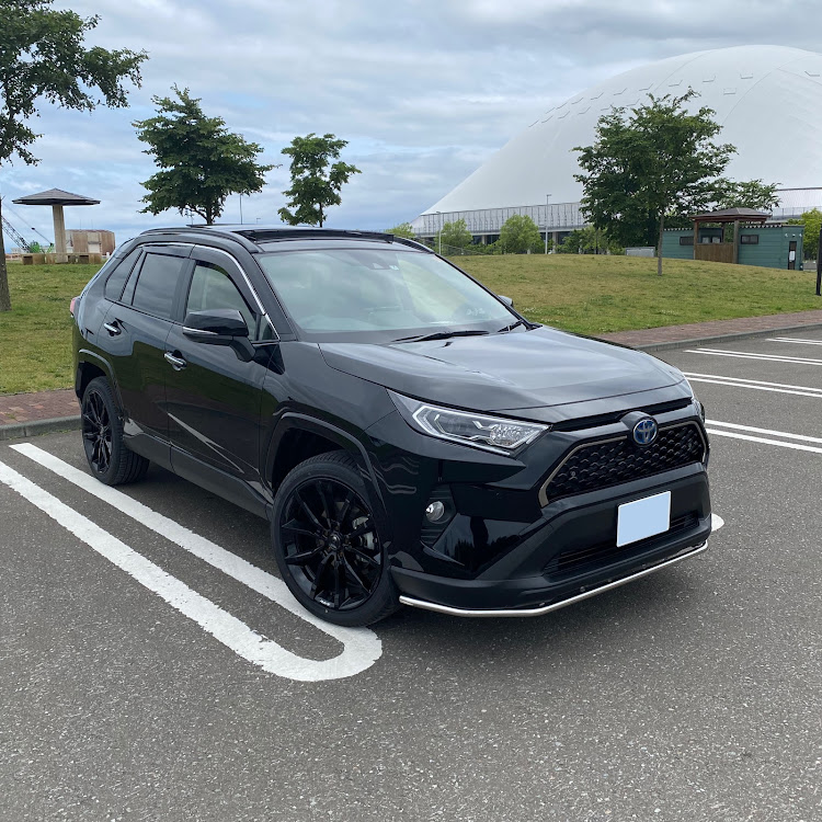 ステンレス製トヨタRAV4　メタリップ