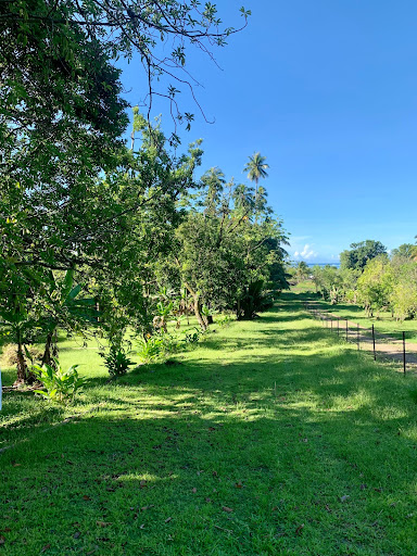 Land 4