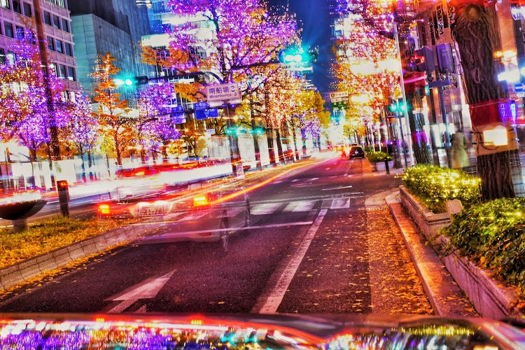 アルトワークスの御堂筋イルミネーション・イルミネーション・NikonD3400・2021ベストショット・12月にエントリーしますに関するカスタム事例の投稿画像4枚目