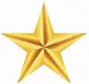 Gold Star Brickwork Services Logo