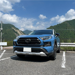 RAV4 MXAA54