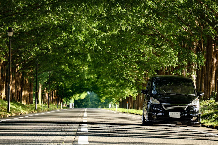 ステップワゴンの一眼レフ練習・一眼レフ初心者・滋賀・早朝ドライブ・ドライブに関するカスタム事例の投稿画像1枚目