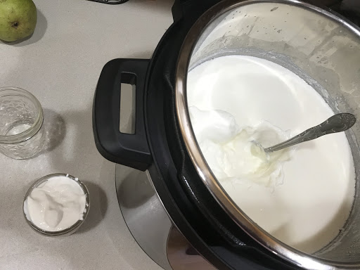 Thick yogurt made with half and half.