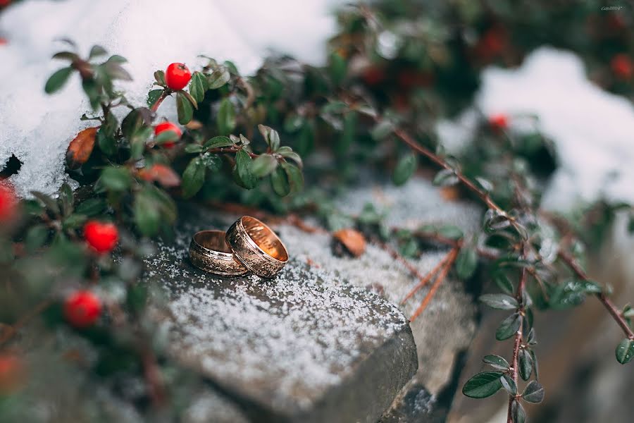 Fotógrafo de bodas Victoria Yehupova (torifoto). Foto del 18 de diciembre 2015