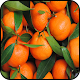 Download Orange Wallpaper For PC Windows and Mac 1.02