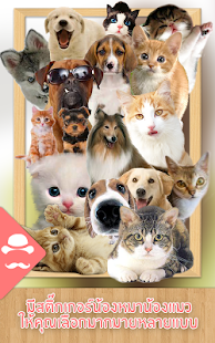 How to install Lovely Dog and Cat 1.0 unlimited apk for pc