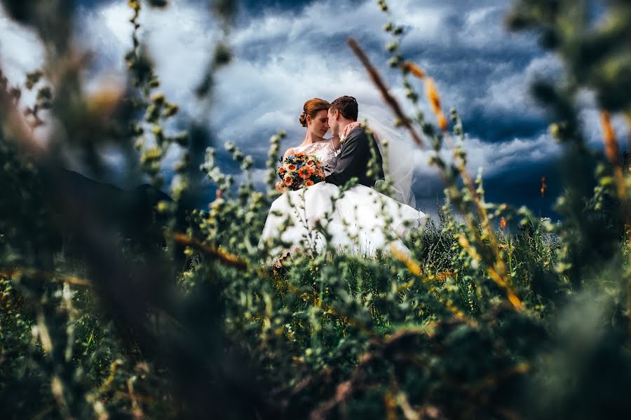 Φωτογράφος γάμων Marcin Karpowicz (bdfkphotography). Φωτογραφία: 4 Αυγούστου 2016