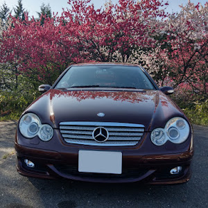 Cクラス スポーツクーペ W203