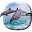 Dolphins Video Live Wallpaper Download on Windows