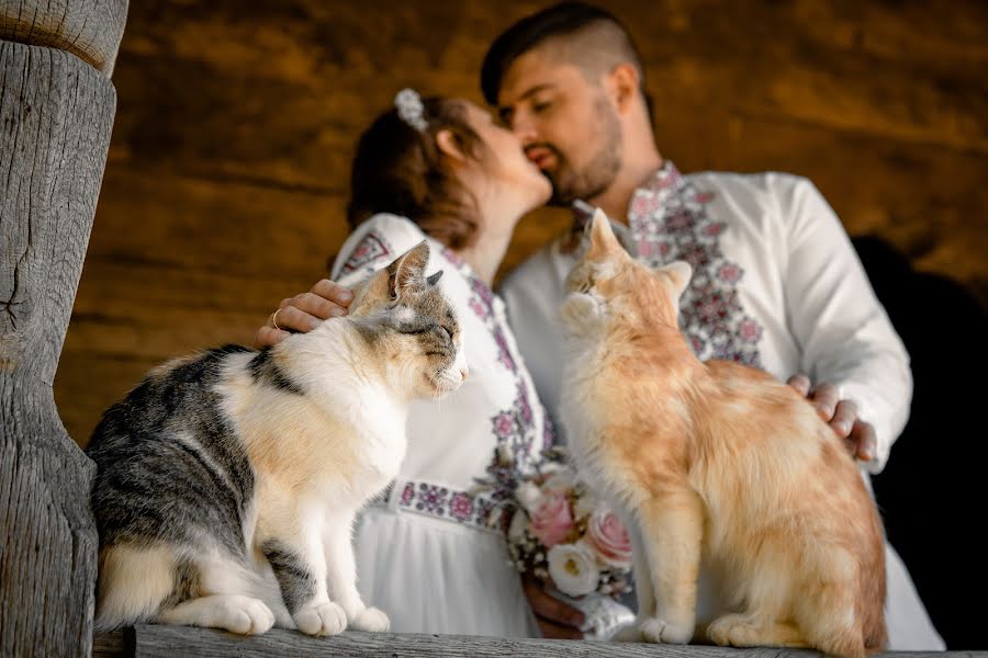 Fotografo di matrimoni Vanya Andrusik (andrusykii). Foto del 24 settembre 2021